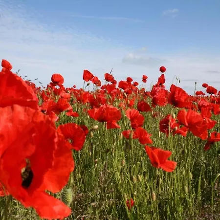 Bright Base With Coastal Access Hotel en barco *