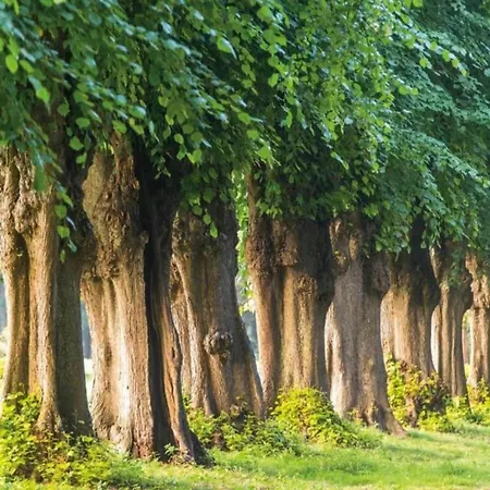 Bright Base With Coastal Access Hotel en barco Ribnitz-Damgarten